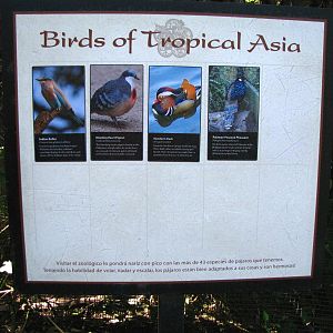 Wings of Asia Signage