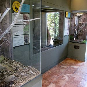 Rattlesnake Canyon Exhibits