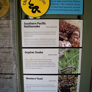 Rattlesnake Canyon Exhibit Signage