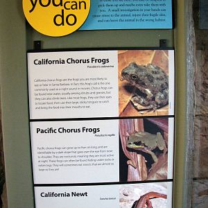 Rattlesnake Canyon Exhibit Signage