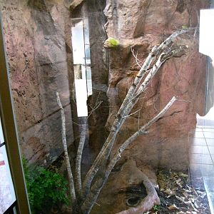 Rattlesnake Canyon Exhibit