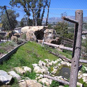 California Condor Aviary - California Trails