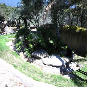 About 90% of the Gorilla Habitat