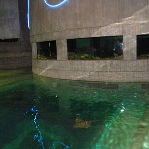 Pier 3: Wings in the Water