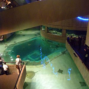 Pier 3: Wings in the Water