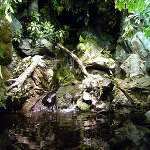 Pier 3: Maryland: Mountains to the Sea