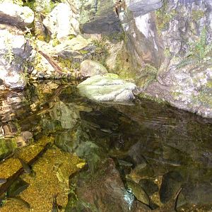 Pier 3: Maryland: Mountains to the Sea