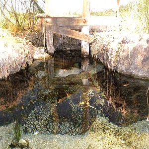 Pier 3: Maryland: Mountains to the Sea