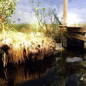 Pier 3: Maryland: Mountains to the Sea