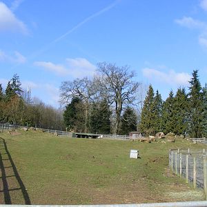 New Zealand Isles enclosure at Beale Park, 13th March 2010