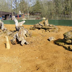 Meerkat enclosure at Beale Park, 13th March 2010