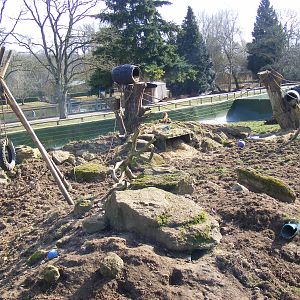 Raccoon/coati enclosure at Beale Park, 13th March 2010