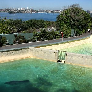 Taronga Zoo 2007 - Looking to the right of the old Pinniped complex