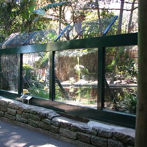 Taronga Zoo 2007 - Front of the Estuarine Crocodile exhibit