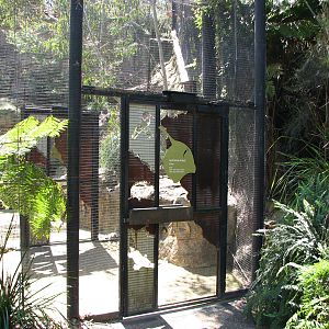 Taronga Zoo 2007 - Entrance to Creatures of the Wollemi