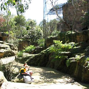 Taronga Zoo 2007 - Inside Creatures of the Wollemi