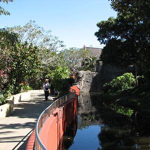 Taronga Zoo 2007 - Moat of the Gorilla exhibit