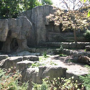 Taronga Zoo 2007 - View into the Kodiak Bear exhibit