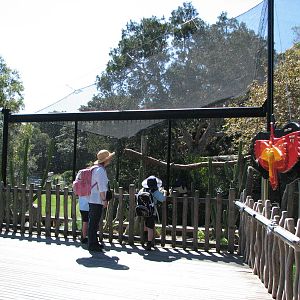 Taronga Zoo 2007 - Front of the Andean Condor aviary