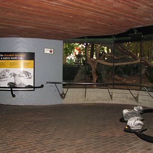 Taronga Zoo 2007 - Front of the Clouded Leopard exhibit
