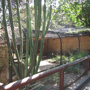 Taronga Zoo 2007 - Fennec Fox enclosure