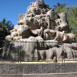 Taronga Zoo 2007 - Himalayan Tahr exhibit