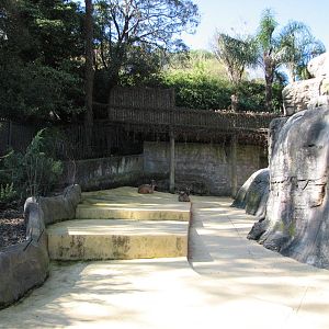 Taronga Zoo 2007 - View into the Himalayan Tahr exhibit