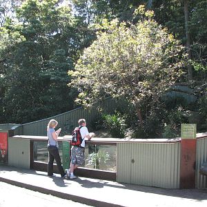 Taronga Zoo 2007 - Front of the Red Panda exhibit