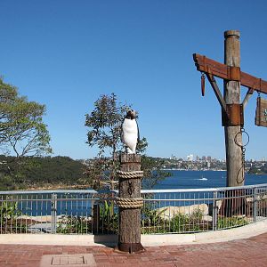 Taronga Zoo 2007 - Signpost and statue as part of the upcoming Great Southe