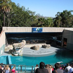 Taronga Zoo 2007 - Seal show amphitheatre