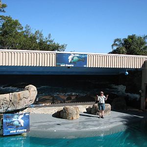 Taronga Zoo 2007 - Seal show amphitheatre