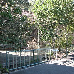 Taronga Zoo 2007 - Aviary