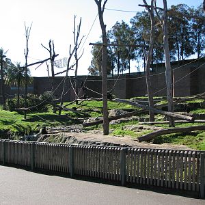 Taronga Zoo 2007 - Outstanding Chimpanzee exhibit