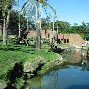 Taronga Zoo 2007 - Outstanding Chimpanzee exhibit