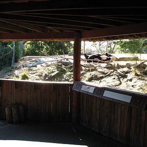 Taronga Zoo 2007 - Viewing deck at the Ostrich exhibit