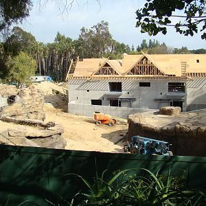 Pachyderm Forest construction update