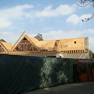 Pachyderm Forest construction update