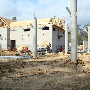 Pachyderm Forest construction update