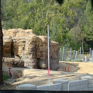 Pachyderm Forest construction update