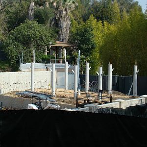 Pachyderm Forest construction update