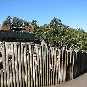 Taronga Zoo 2007 - Front of the Barbary Sheep exhibit