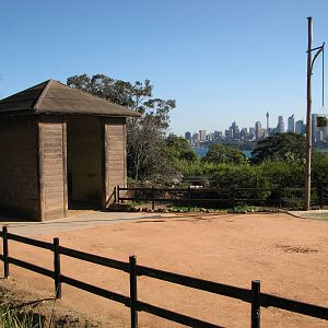 Taronga Zoo 2007 - Part of the giraffe exhibit