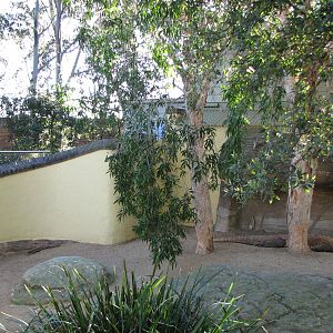 Taronga Zoo 2007 - Front view into the Komodo Dragon exhibit