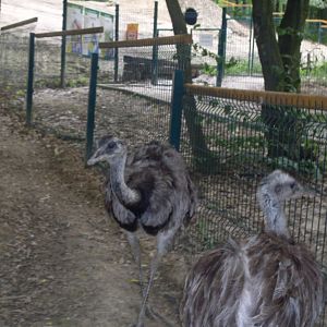 South-America mixed exhibit