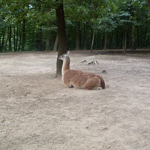 South-America mixed exhibit