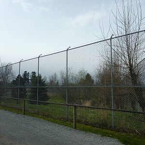 Cougar Enclosure