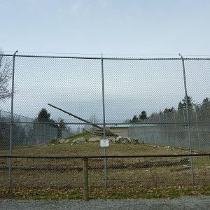 Yellow Baboon Enclosure