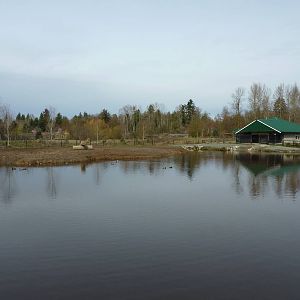 1.2 Acre Hippo Enclosure