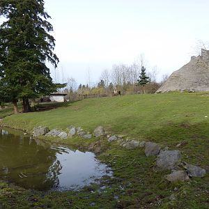 2-Acre Aoudad/Ankole Cattle Enclosure