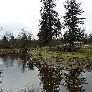 Alpine Ibex Enclosure